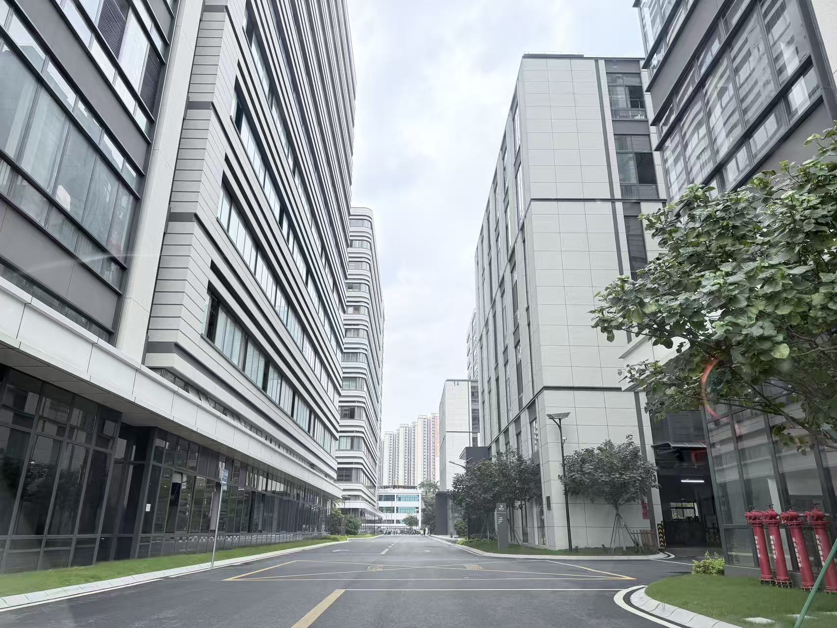 Silicone doll factory buildings and internal campus road