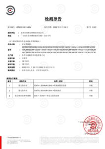 CE conformity test report in Chinese