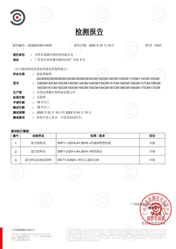 Chinese conformity report document preview