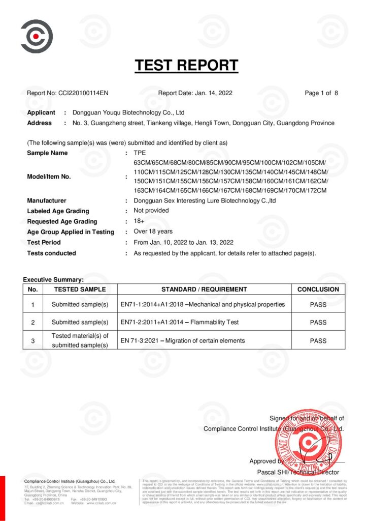 English conformity report document preview