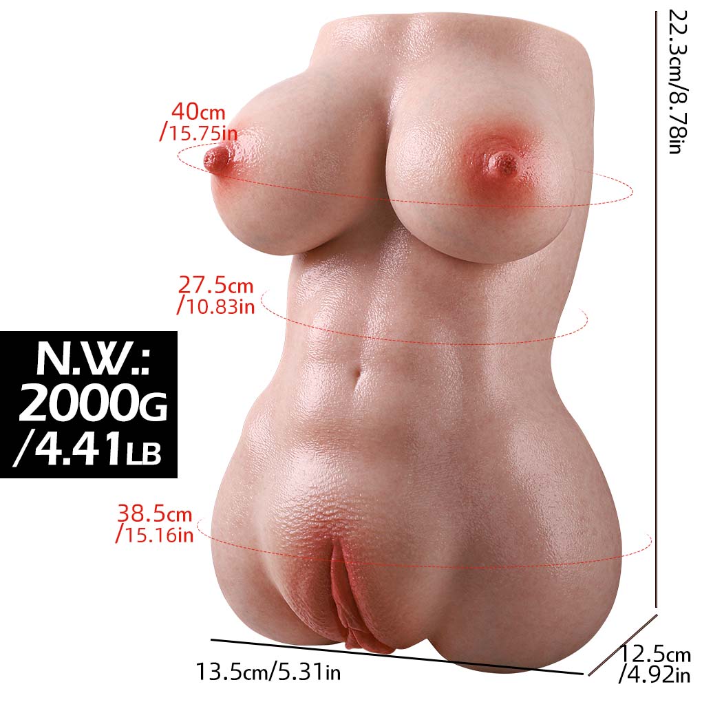 2,000 g Half-Body Torso